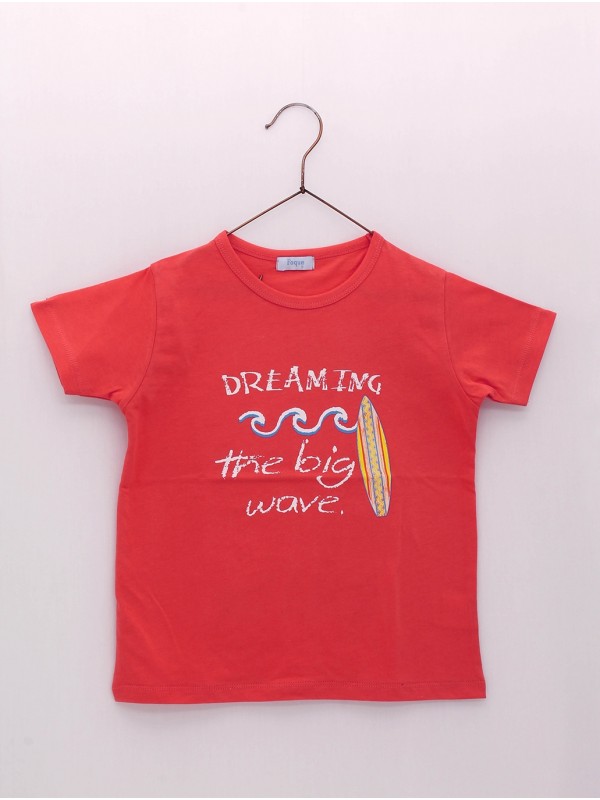 Camiseta niño con estampado surfero 