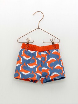 Boxer Ballenas