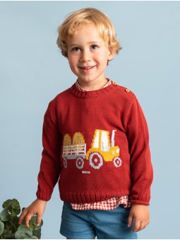 Camisa pescoço padeiro sersucker vichy
