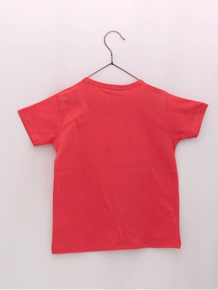 Camiseta niño con estampado surfero 