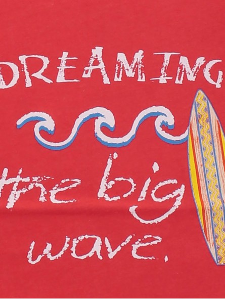 Camiseta niño con estampado surfero 