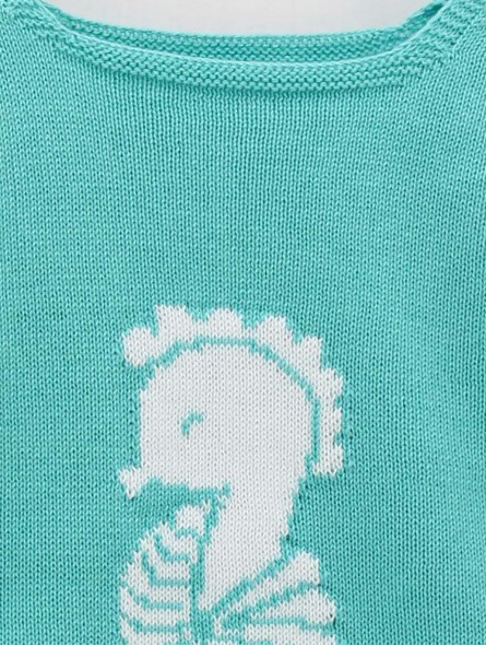 Seahorse Sweater