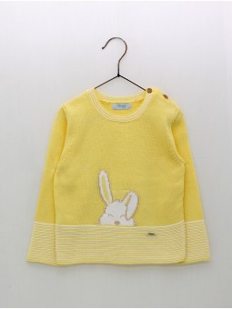 Jersey Conejito