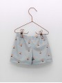 boxer sailboats