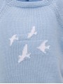 Boys’ seagulls outfit
