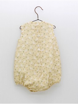 Ranita Ocas