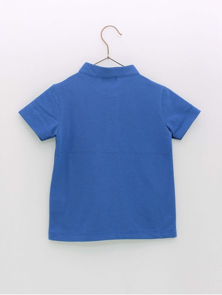 Polo piquei