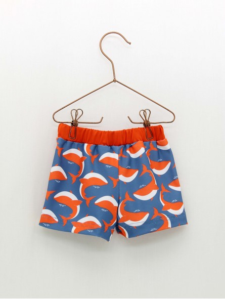 Boxer Ballenas