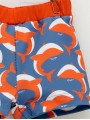 Boxer Ballenas