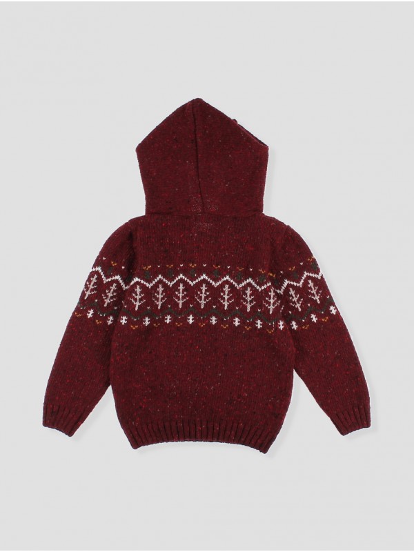 Jersey con Capucha Burgundy