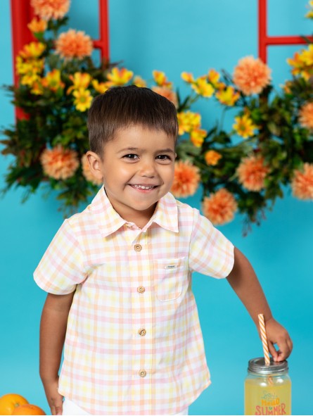 Camisa Quadros Holanda Camisa Quadros Holanda