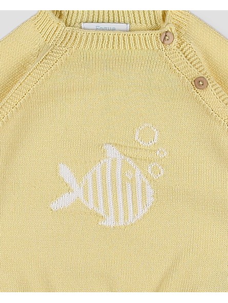 Jersey Intarsia Pez