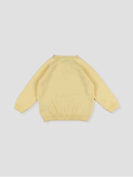 Camisola Intarsia Peixe