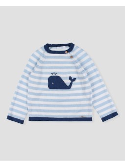 Jersey ballena