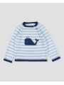 Jersey ballena