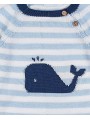 Jersey ballena
