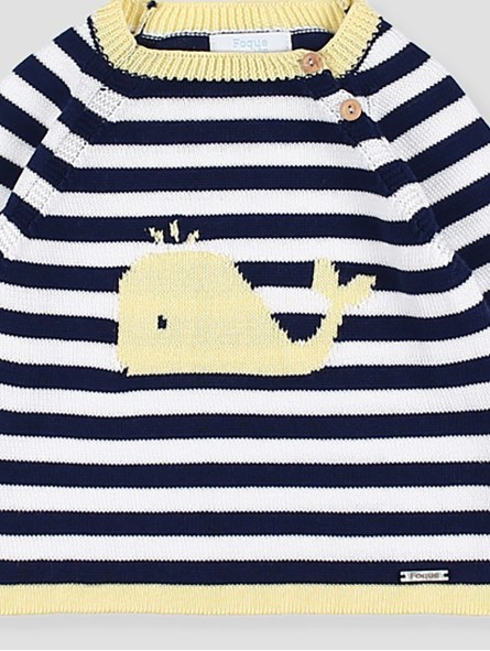 Jersey ballena