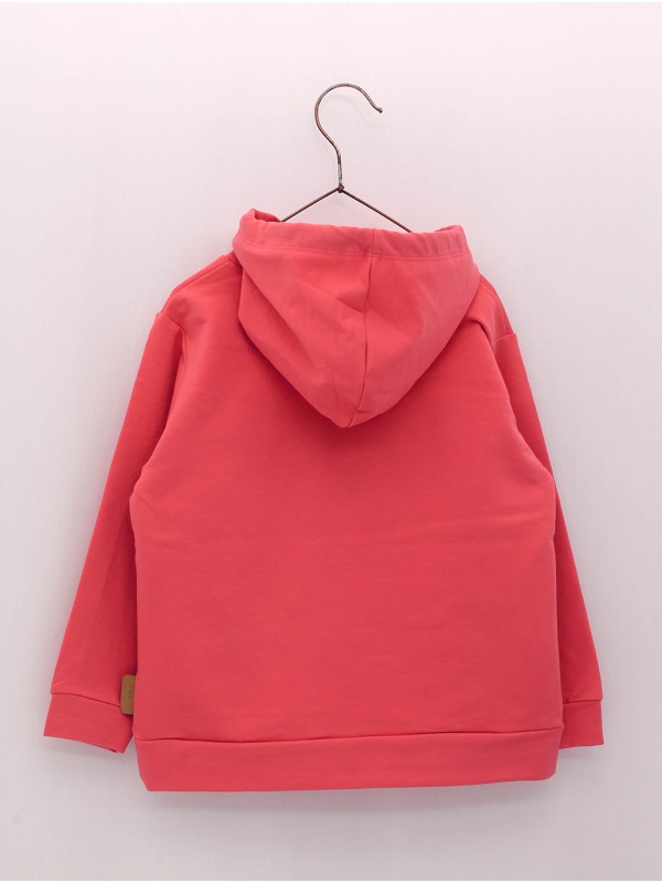 Sudadera niño con capucha y estampado Foque West