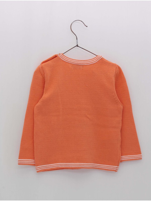 Little Bird Sweater