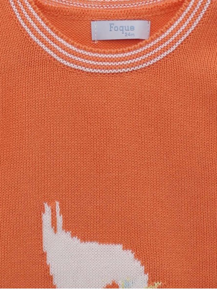 Camisola Pajarito