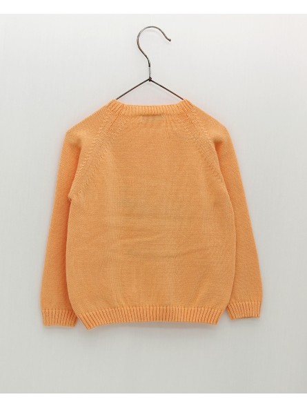 Cactus jumper