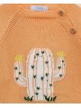 Jersey Cactus