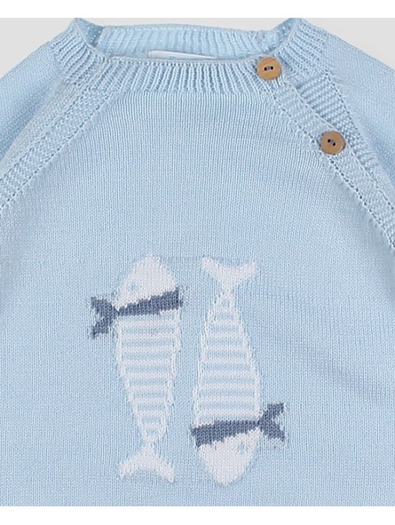 Jersey Sardinas