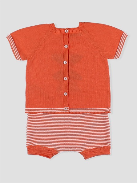 Conjunto punto Holanda
