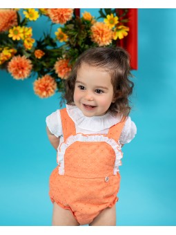 Ranita Holanda
