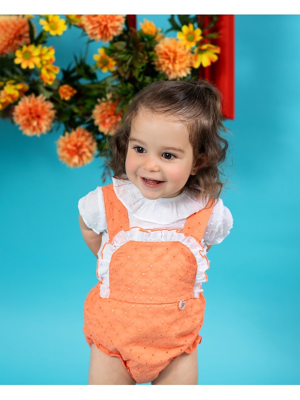 Ranita Holanda