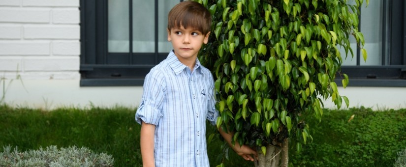 Camisas, polos, camisetas para niño